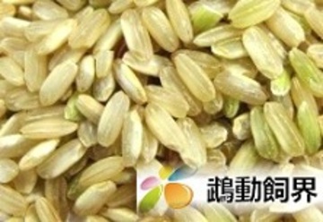 糙米產品圖